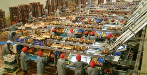 Concours Chef d’Équipe de Fabrication Agroalimentaire 2025 – Dépôts ouverts