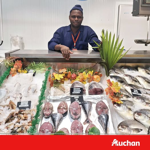 Dailycatch.app recrute 01 Gérant de Poissonnerie – Spécialiste Documentation Export