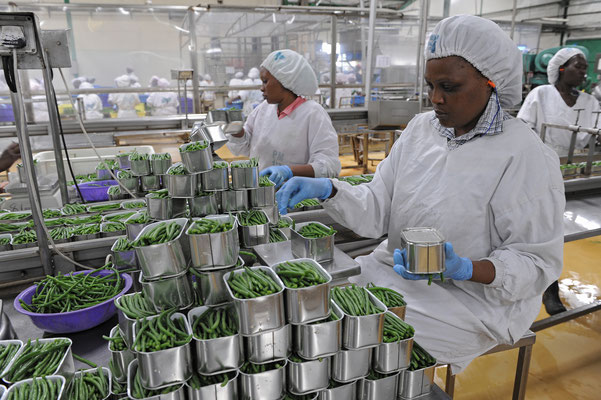 Concours BTS Industries Agroalimentaires – Dépôts Ouverts